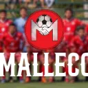 MALLECO UNIDO