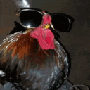 🐔・Le Poulailler [V2]