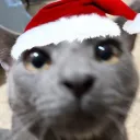 natcord