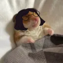 Kassi-un Server 🤓
