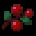 Berry icon