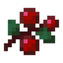Berry icon