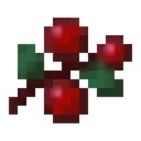 Berry