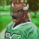 Bison Alliance!💚