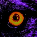 Monsterkin Culture Is... Discord!