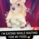 ୭ৎ ۫ ּ ִ ρⱺա𝗲rყ ◞︶ᐩ◡ 🐈 ˖ ࣪ 𝇋♡𝇌