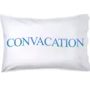 💤The Convacation