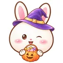 설윤 [공식서포트]