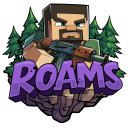 ROAMS.gg - PvP Survival