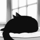 𝓽𝓱𝓮 𝓬𝓪𝓿𝓮