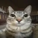 ʀᴇᴀʟɪᴛʏꜱ ᴇᴘɪᴄ ꜱᴇʀᴠᴇʀ