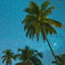 ℂ𝕒𝕝𝕚𝕗𝕠𝕣𝕟𝕚𝕒 𝔹𝕝𝕦𝕖 discord icon