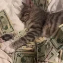 Catizon
