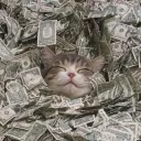 Catizon