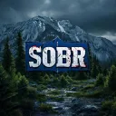 FAN SOBR DayZ