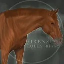 Firenze Equestrian