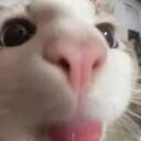 Silly Goobers 1000 Discord Server Icon