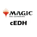 CEDH Advisory Group