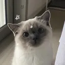 hhhh