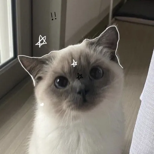 hhhh — мониторинг Discord сервера, статистика и рейтинг