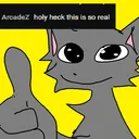 husky's server
