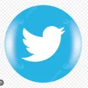 Twitter yhteisö