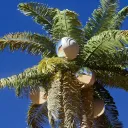 VFX Oasis - Artist Community Discord Server Icon