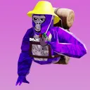 Baja_VR