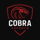 COBRA ESPORTS