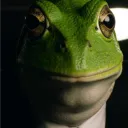 Wokecord