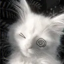 ౨ৎ / v4mp ¹⁸⁺ Discord Server Icon