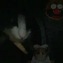 Le Spooky De Sog