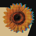 Discovery icon for 𝙿𝙷𝙲 𝙲𝚘𝚖𝚙𝚊𝚗𝚢 | 🌻 Discord server