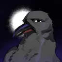 Corvidae Roosting Ground