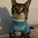 $MYCAT community server