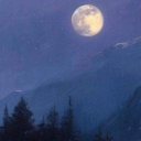 𝐒𝐭𝐞𝐥𝐥𝐚 𝐋𝐮𝐜𝐢𝐬 𝐀𝐜𝐚𝐝𝐞𝐦𝐢𝐚 Discord server icon