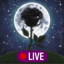 Rose's Private Live Corner