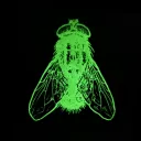 The Swarm