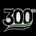 The 300 Foundation