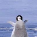 놀이터