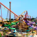 Theme park enthusiast's