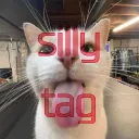 silly tag