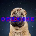 Общение