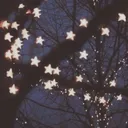 ᶻ 𝗓 𐰁Garden Of Dreamsᶻ 𝗓 𐰁