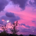 sunset blvd. ♡ Discord server icon