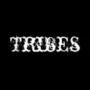 The Tribes x DandyMusic
