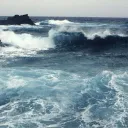 🌊Bluecrest Bay🌊