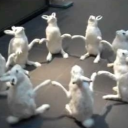 roundtable Discord server icon