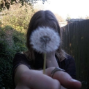 🐞•°☆Arley's Cool Community☆°•🐞 Discord server icon