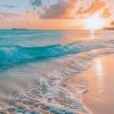 🌌🌙⛱SCA Subliminal Haven☀🐚✨